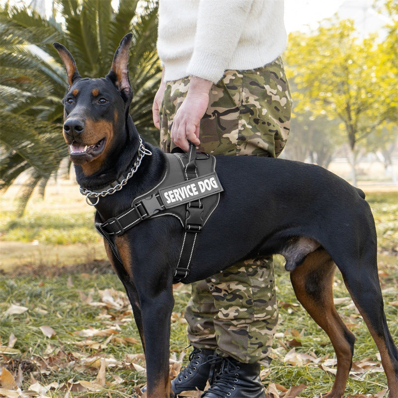 Reflective breathable mesh dog harness with metal D-ring, product image 1
