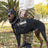 Reflective breathable mesh dog harness with metal D-ring, product image 1