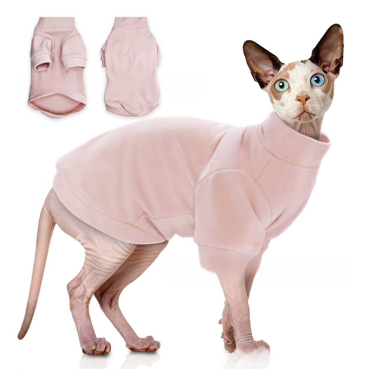 Hairless cat wearing a grey striped belly cover top