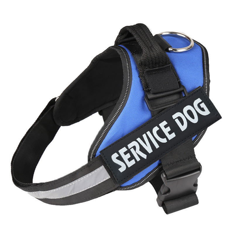 Dog wearing a padded reflective harness on an evening walk