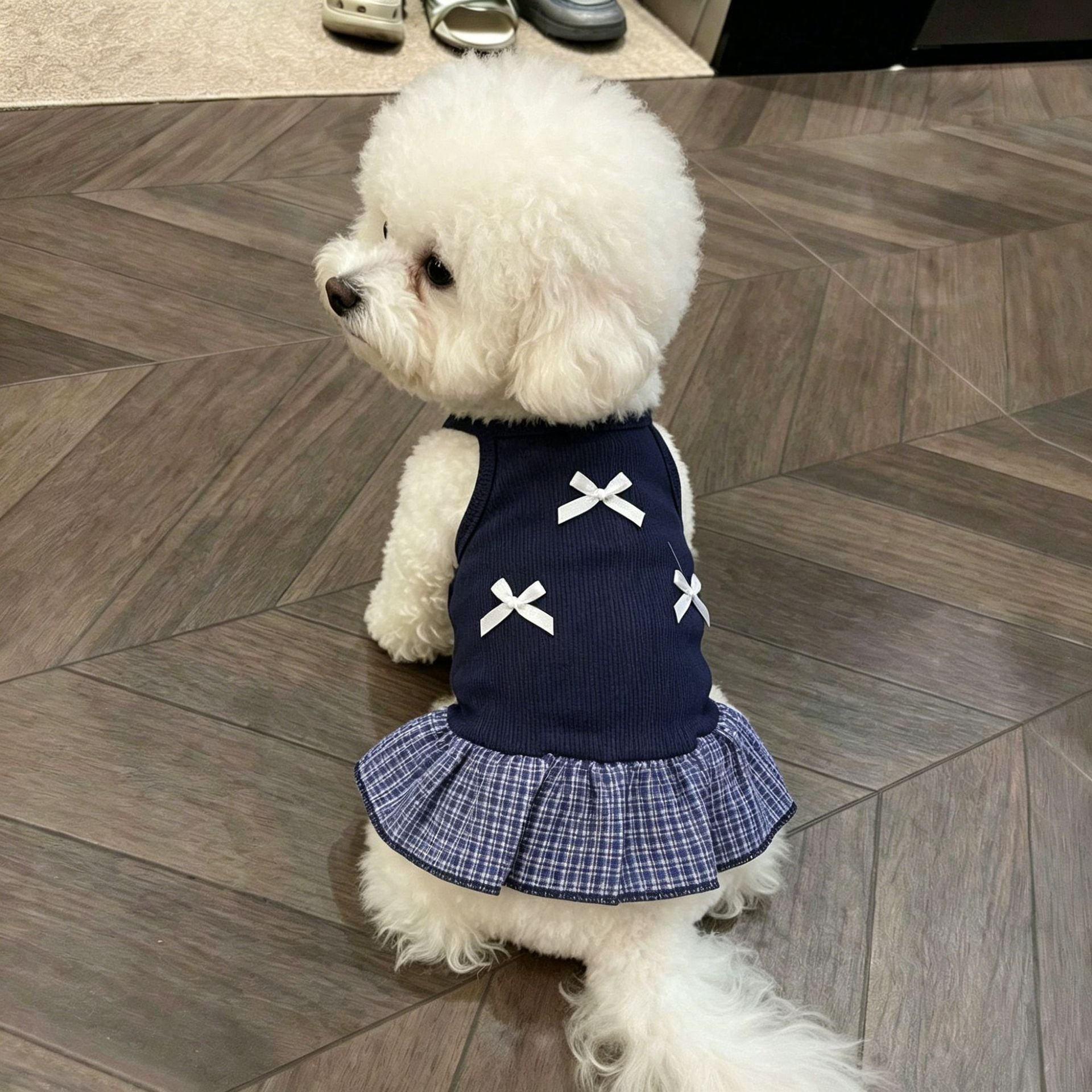 Small dog in a blue breathable vest dress with bows