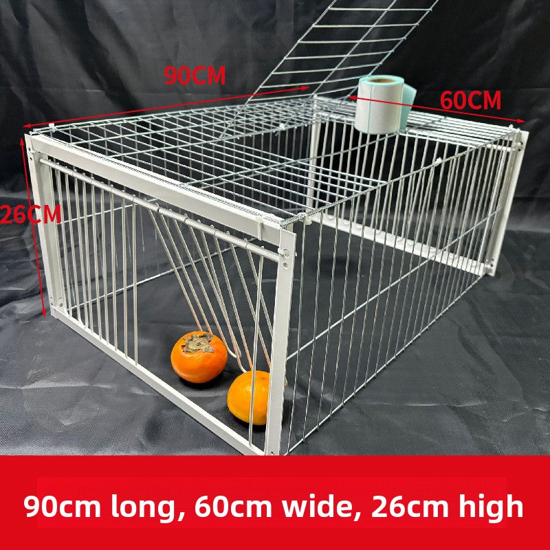 White metal pigeon loft landing cage with one way door, view 15