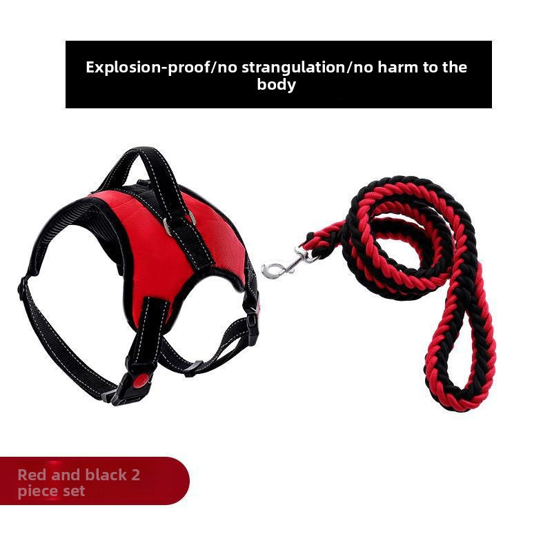 Blue nylon harness for large dogs with braided rope lead