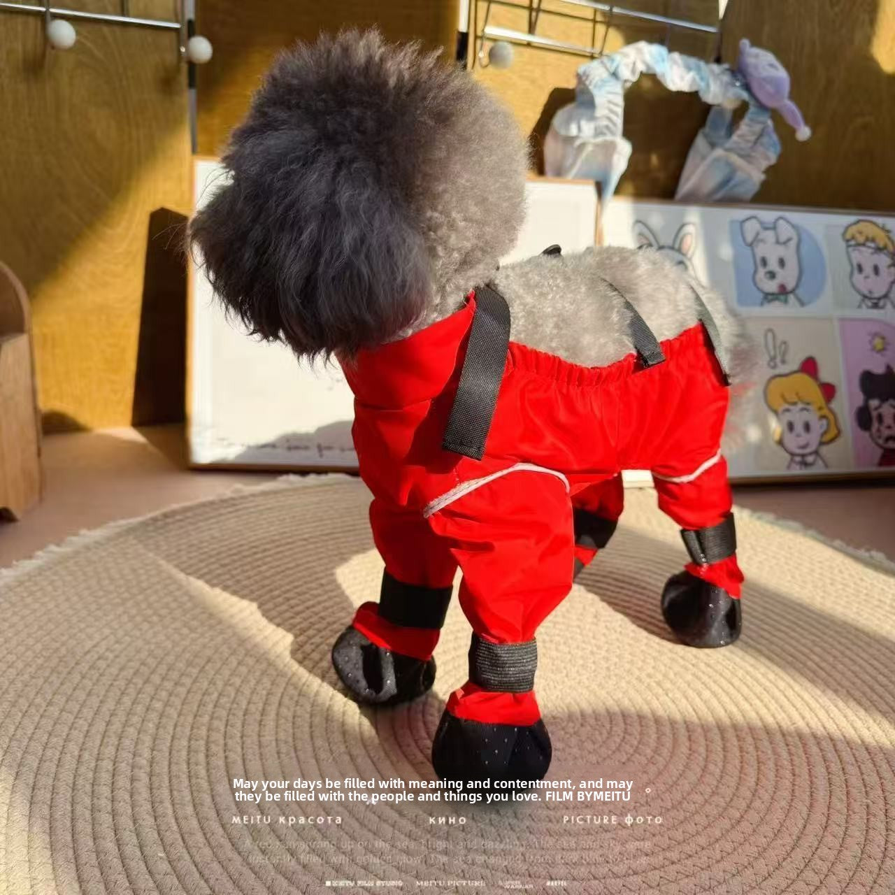 Dog boot leggings with anti-slip soles, product image 16