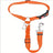 Elastic car seat belt lead for dogs in 12 colour options