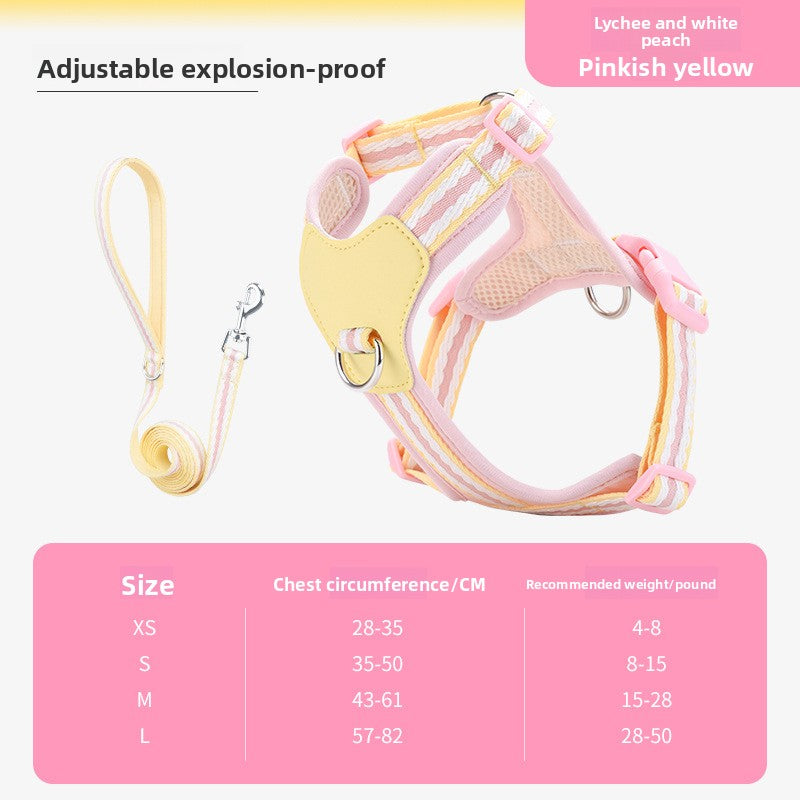 Soft mesh puppy harness with lead in 3 colour options
