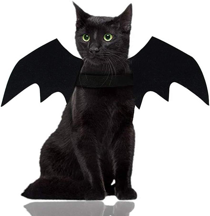 Halloween bat wings and spider costume for dogs and cats, image 7