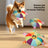 Plush vocal interactive dog frisbee