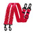 Dog car safety lead clipped to back seat belt for secure travel