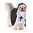 Small dog dressed in a funny frankfurter costume