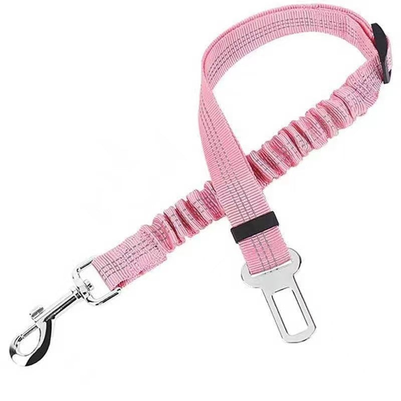 Short elastic dog lead and car seat belt, available from Pet Royale UK