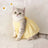 Light summer gradient dress for cats in breathable polyester, product image 8