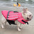 Dog life jacket with wings, available in 3 colours, image 2