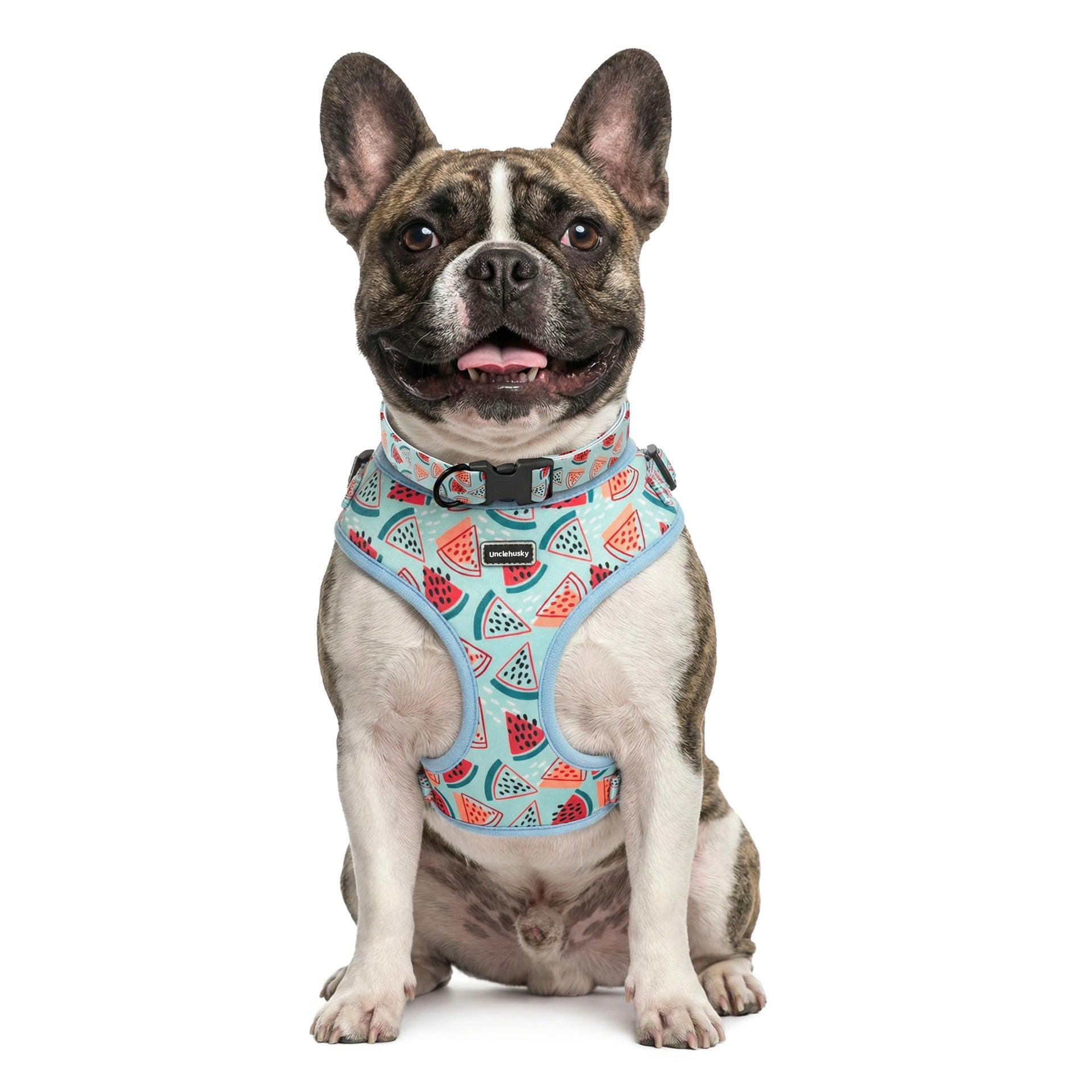 Watermelon print dog harness set with collar, lead, bow and scarf, view 3
