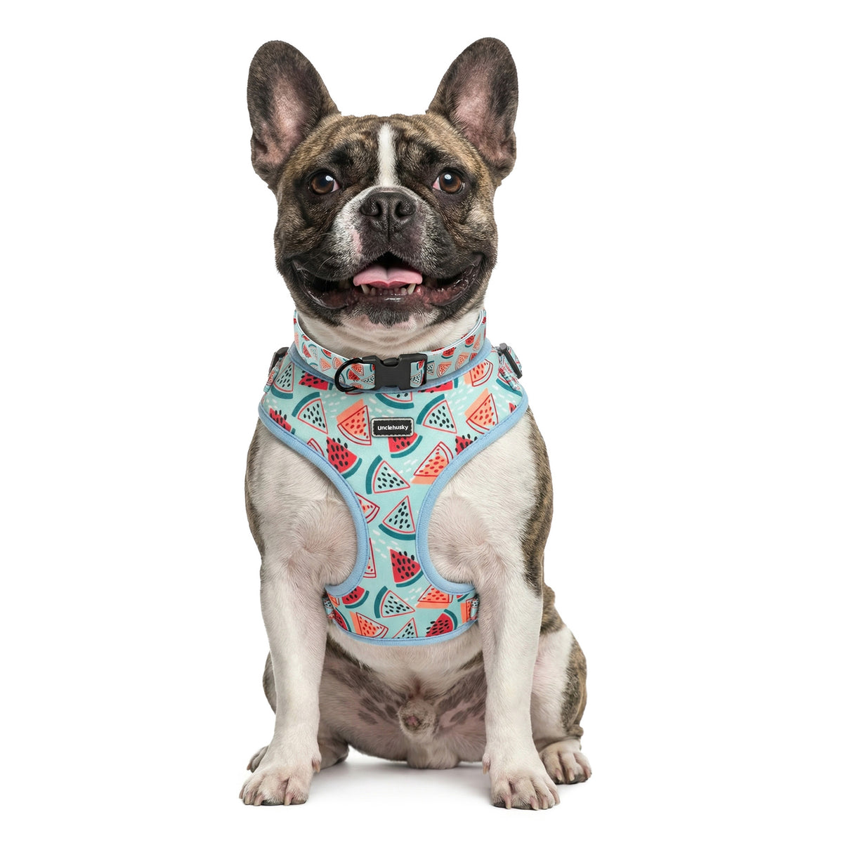 Watermelon print dog harness set with collar, lead, bow and scarf, view 3