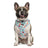 Watermelon print dog harness set with collar, lead, bow and scarf, view 3