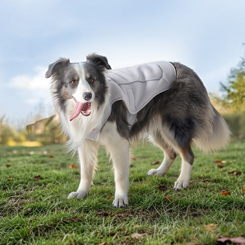 Breathable dog cooling vest with adjustable straps for summer walks, view 5