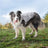 Breathable dog cooling vest with adjustable straps for summer walks, view 5