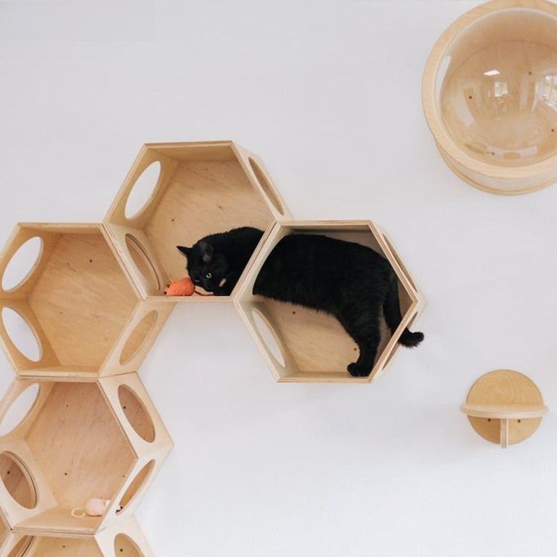 Wooden cat perch fixed to a living room wall