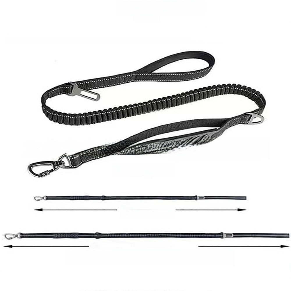 Elastic bungee dog lead with padded handle and car clip, ideal for everyday use