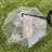 Clear dog umbrella with built-in lead for rainy walks in Transparent with Chain, side view