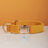 Soft velvet dog collar with metal buckle, available from Pet Royale UK