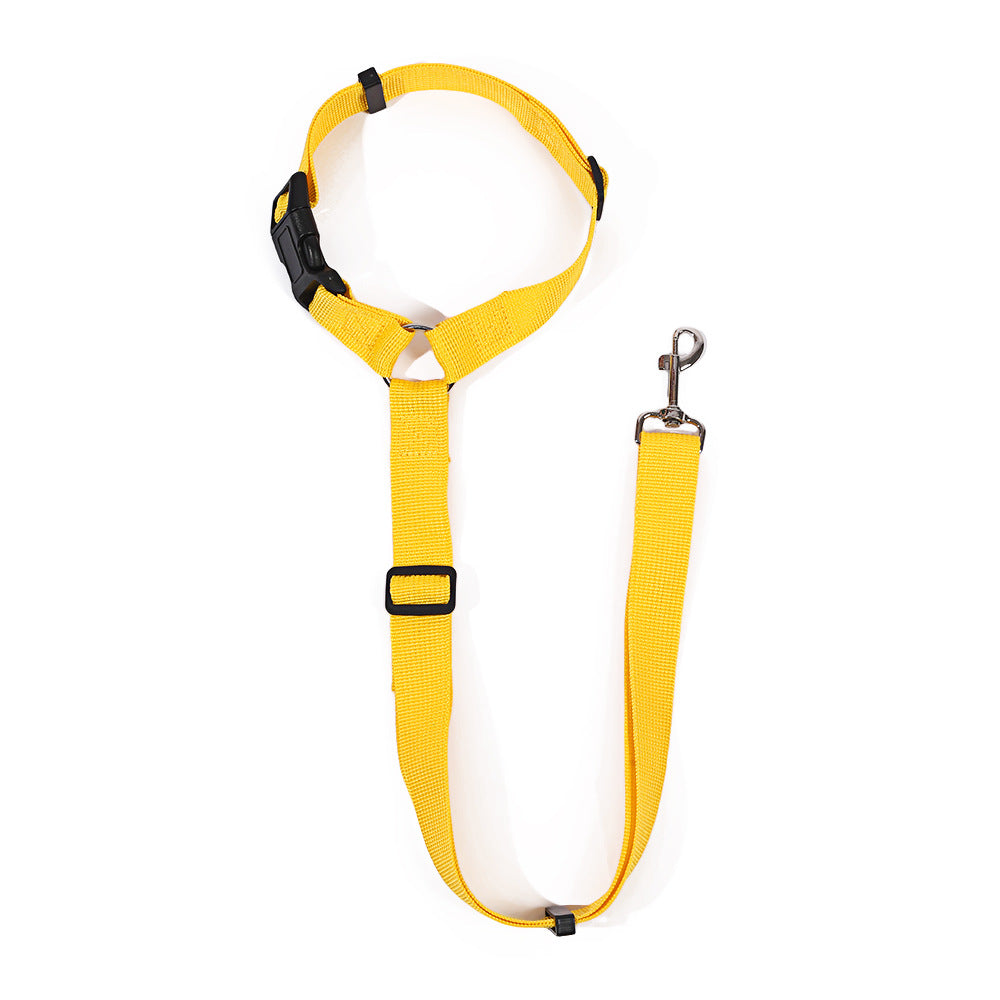 Dog car seat belt lead with headrest loop in 6 colour options