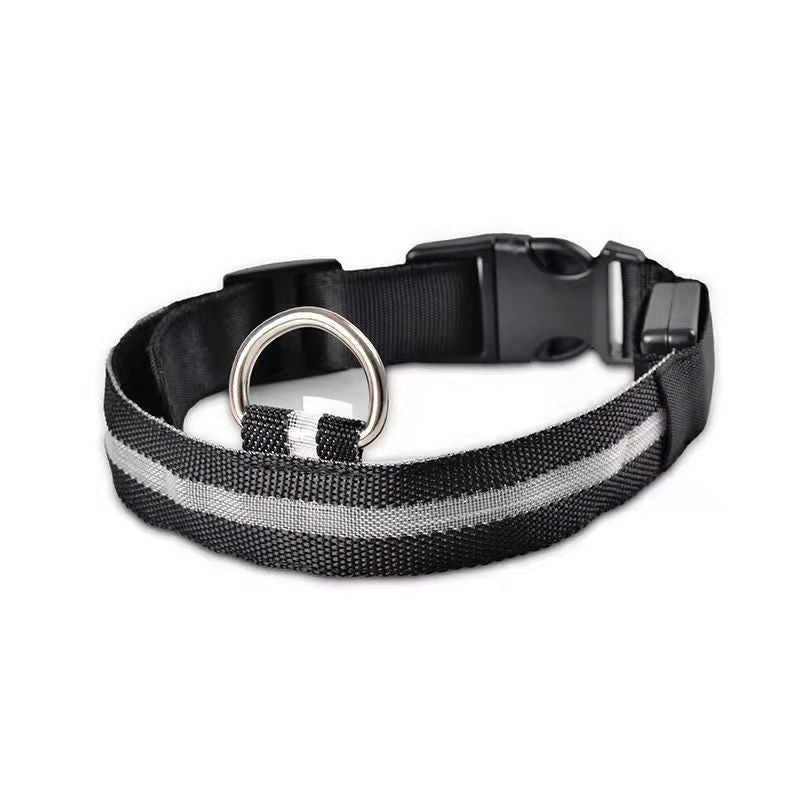 LED mesh dog collar with light modes in Blue, in a home setting