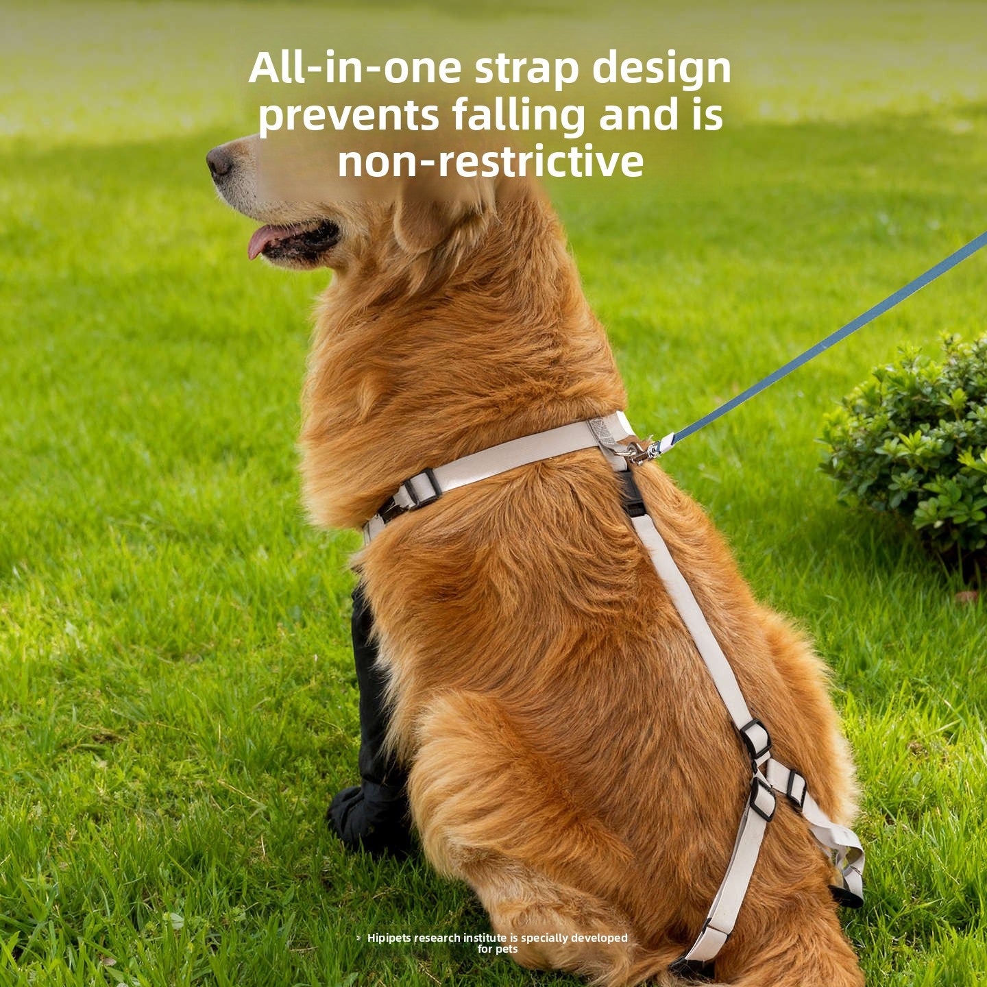 Adjustable waterproof dog shoes, available in 2 colours, sizes Extra Small to 2XL, image 2