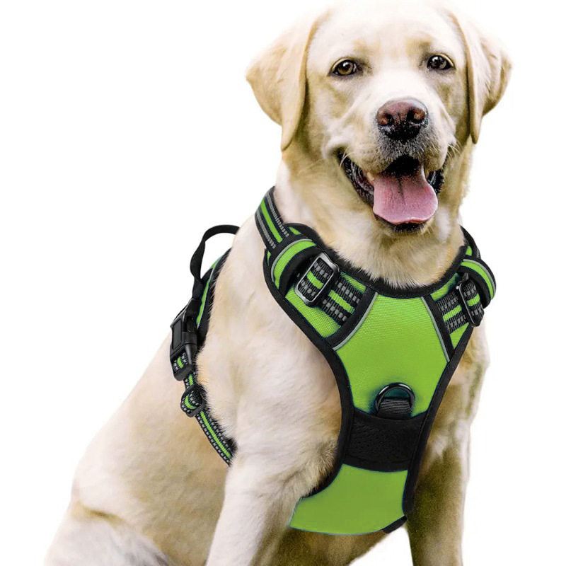 No-pull soft padded dog harness, main product photo