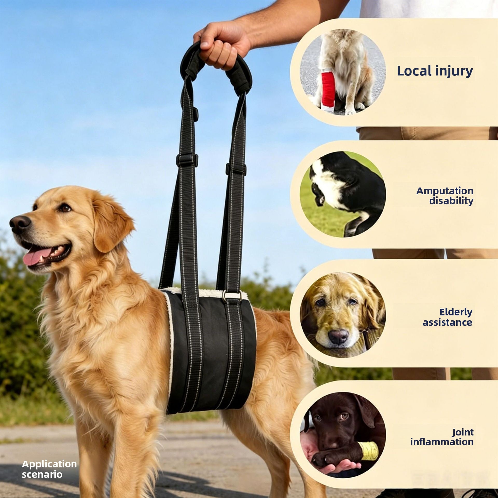 Black denim rear leg support harness for senior dogs, product image 4