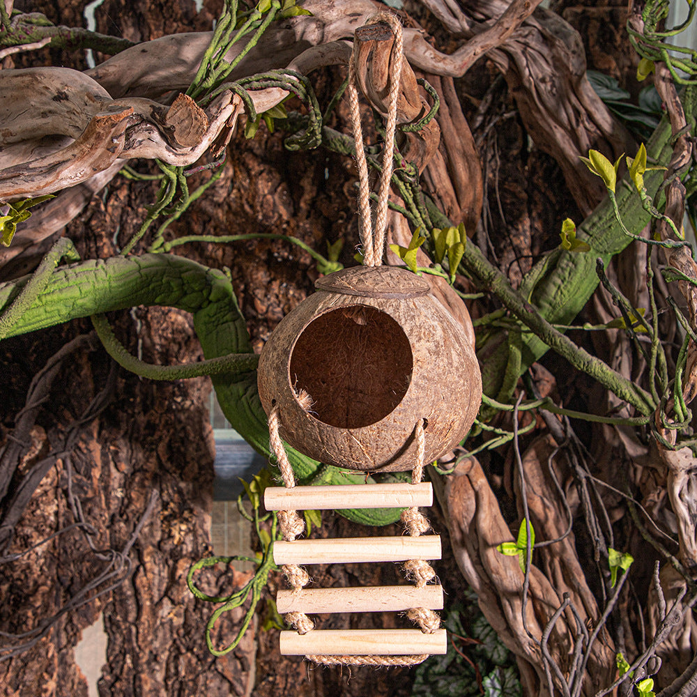 Natural coconut shell reptile hide, main product photo