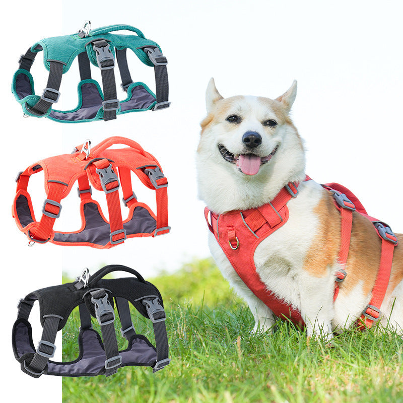 Reflective padded vest harness for small dogs, 5 sizes available