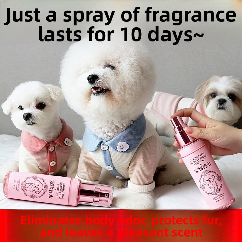 Long-Lasting Dog Perfume Spray with Plant Extracts