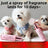 Long-Lasting Dog Perfume Spray with Plant Extracts