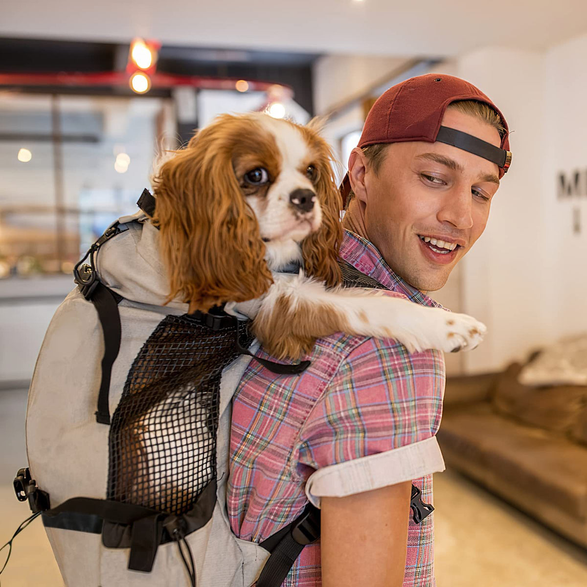 Oxford cloth pet backpack and chest carrier for small pets, product image 2