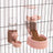 Hanging Pet Feeder and Water Dispenser Set, 500g Food and 500ml Water, Cage Mount