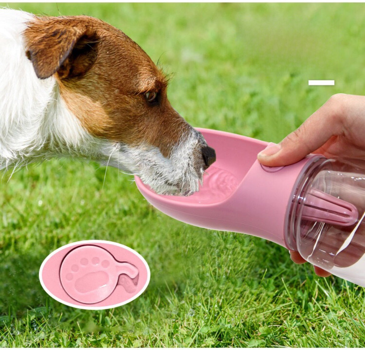 Portable Dog Water Bottle for Walks, Leak-Proof Silicone and PP Design, 350ml or 550ml