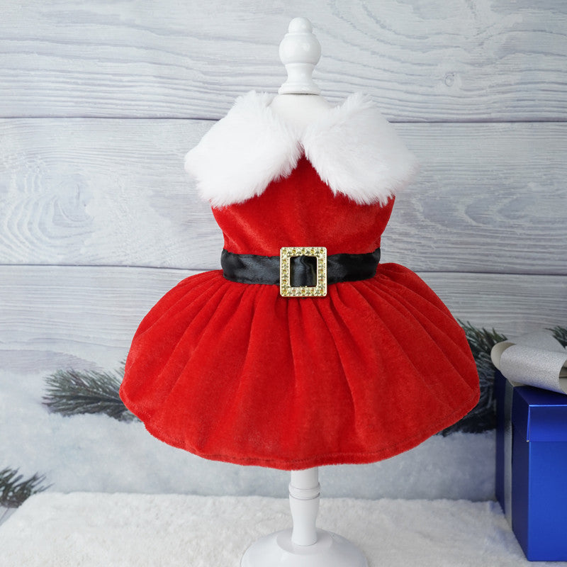 Christmas polar fleece pet dress for small dogs and cats, in a home setting