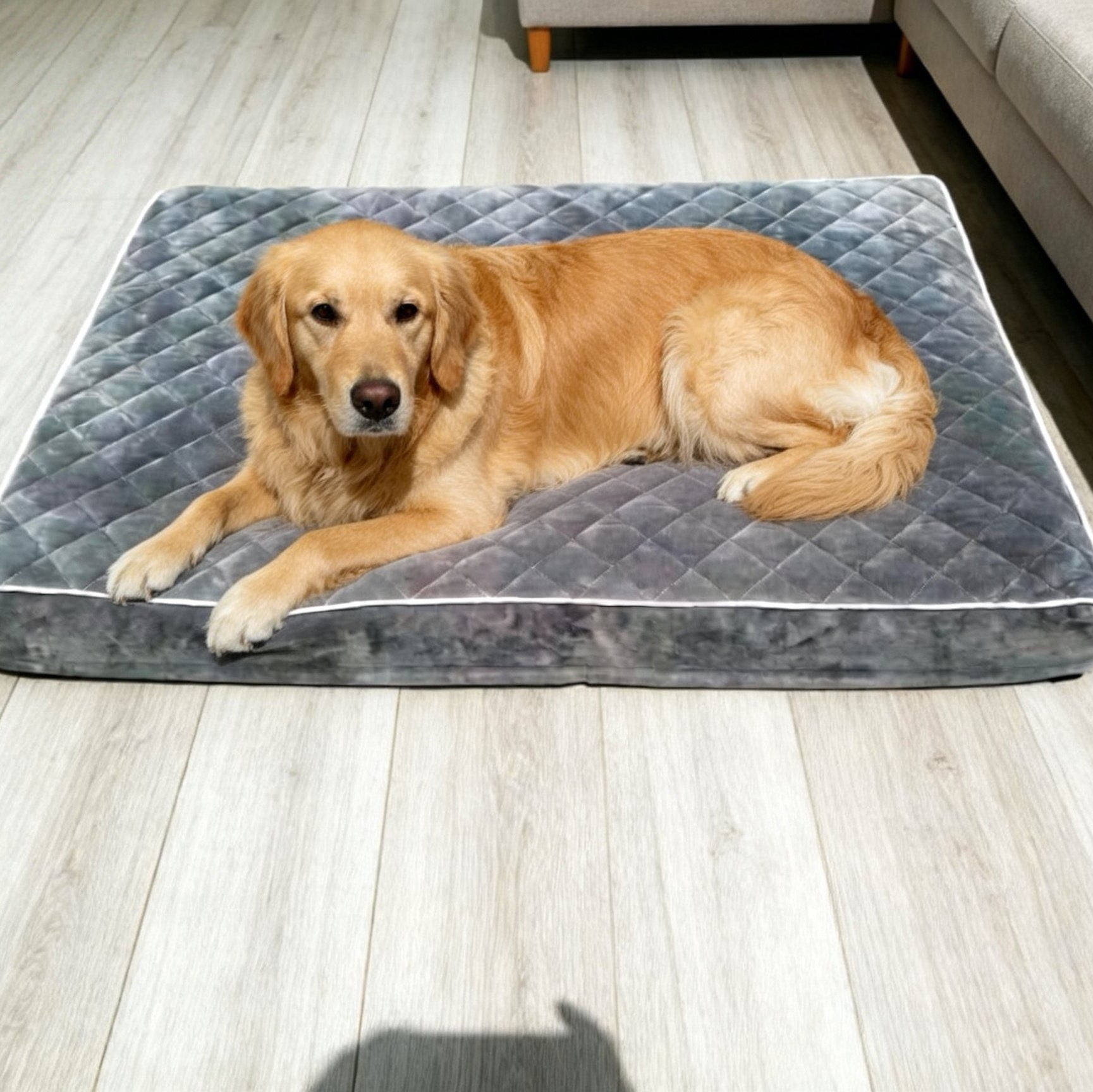 Waterproof washable padded pet mat in grey, photo 7 of 9