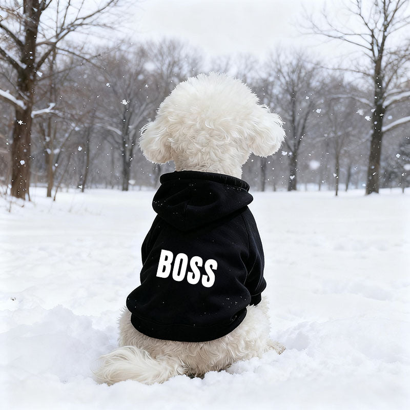 Hooded fleece sweatshirt for small dogs and cats, in a home setting