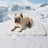 Gel pet cooling mat for dogs and cats, photo 19 of 25