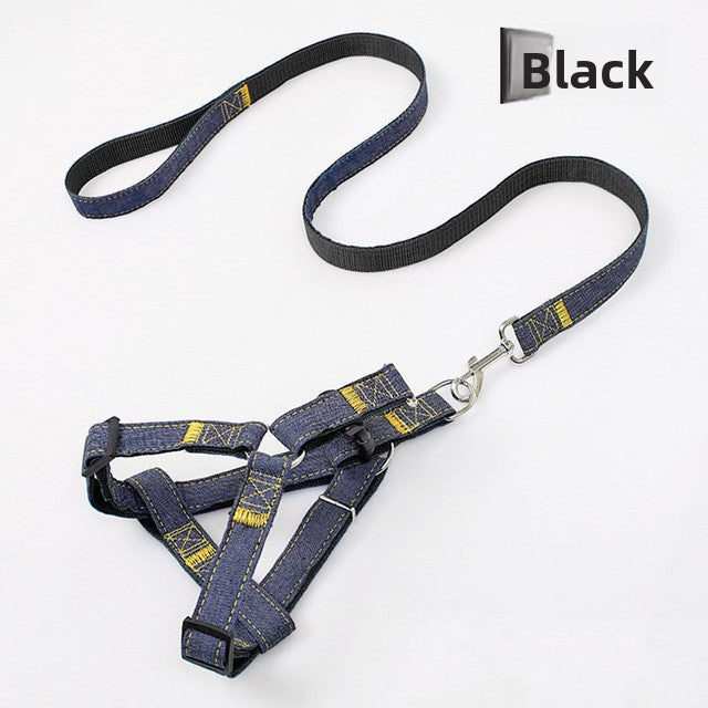 Soft red harness and lead on a small dog