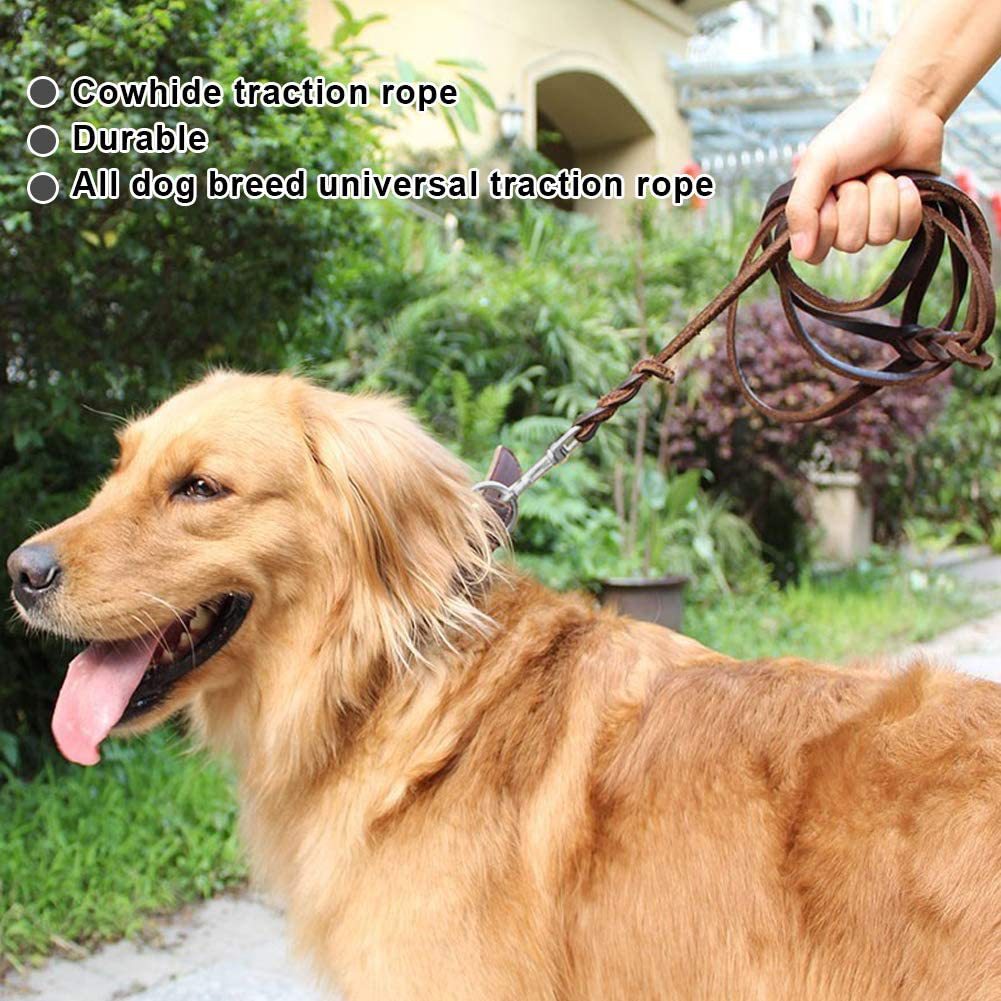 Heavy-duty dog lead, available from Pet Royale UK