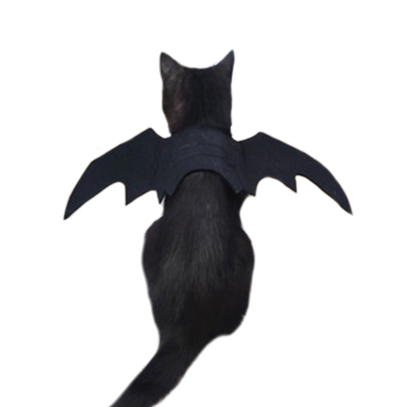 Halloween felt bat wings for dogs and cats in Wings Large, in a home setting