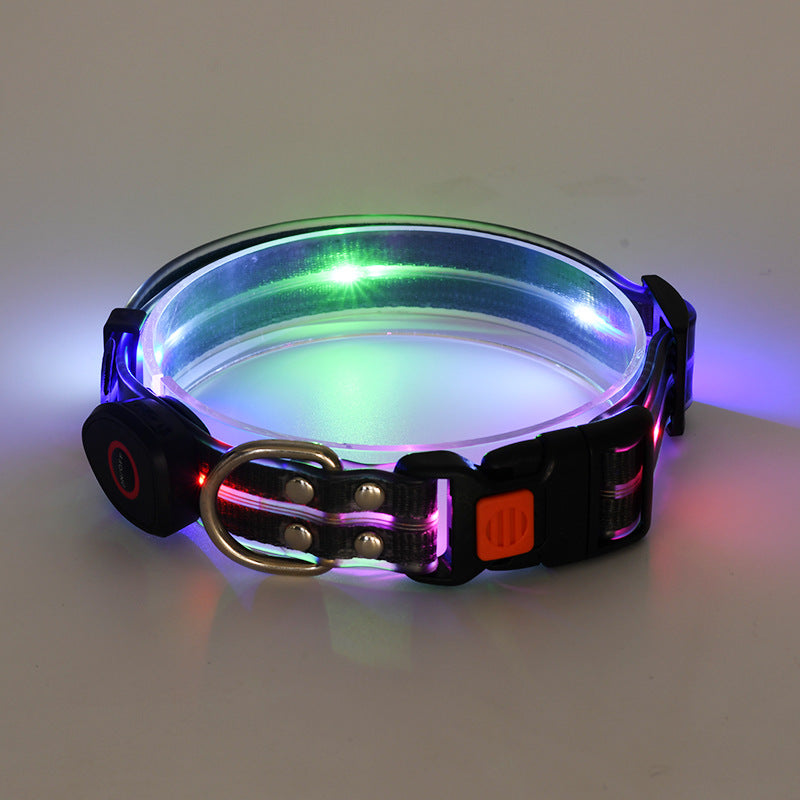 USB rechargeable LED dog collar and lead in Pink Blue Collar, showing size and shape