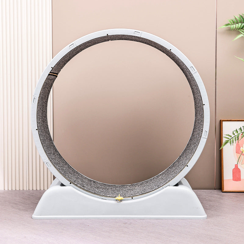 Grey cat running wheel standing in a living room