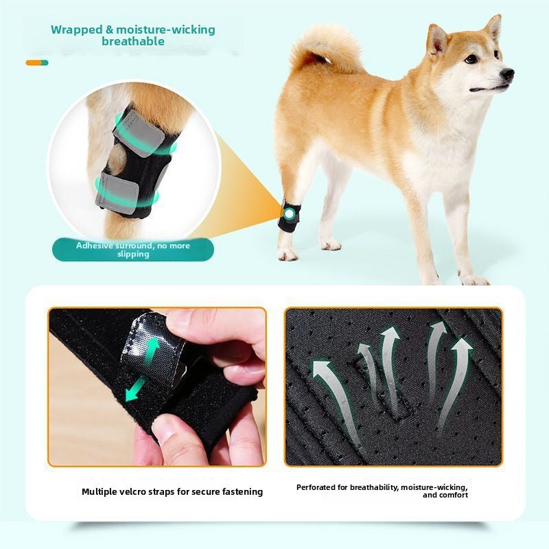 Polyester dog knee pads protecting leg joints of senior dogs in Knee Pad, side view