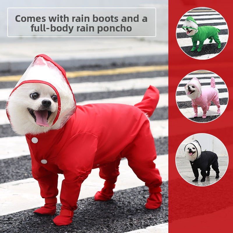 Small dog in a pink full body raincoat with foot covers