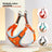 Reflective vest harness and lead for small dogs, available from Pet Royale UK